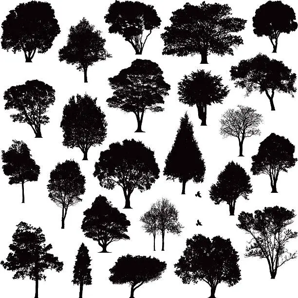 Vector illustration of Detailed tree silhouettes