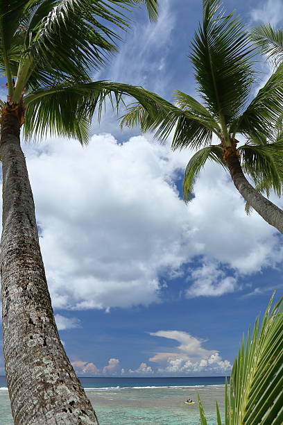 istock beautiful beach of Guam island 594910818