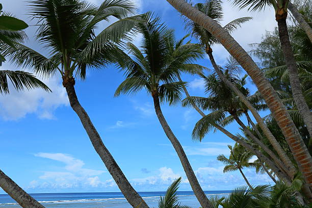 istock beautiful beach of Guam island 594910934