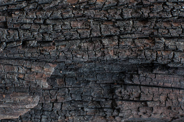 istock Texture of old wood. 594911266