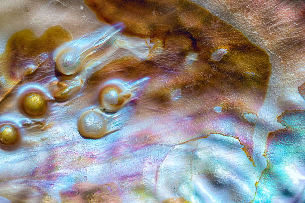 mother-of-pearl, luxury background
