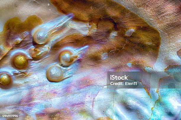 Motherofpearl Luxury Background Stock Photo - Download Image Now - Oyster Pearl, Animal Shell, Mother of Pearl