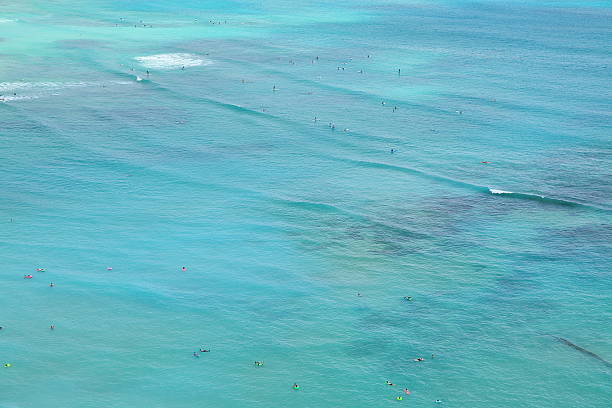 istock beautiful beach of Hawaii 594912738