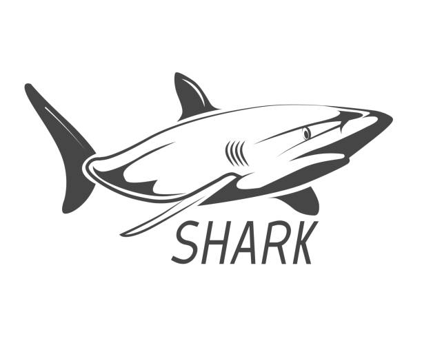 Shark Tattoo Designs Clip Art Illustrations, Royalty-Free Vector Graphics & Clip Art - iStock Shark Tattoo Designs Clip Art Illustrations, Royalty-Free Vector Graphics & Clip Art - iStock