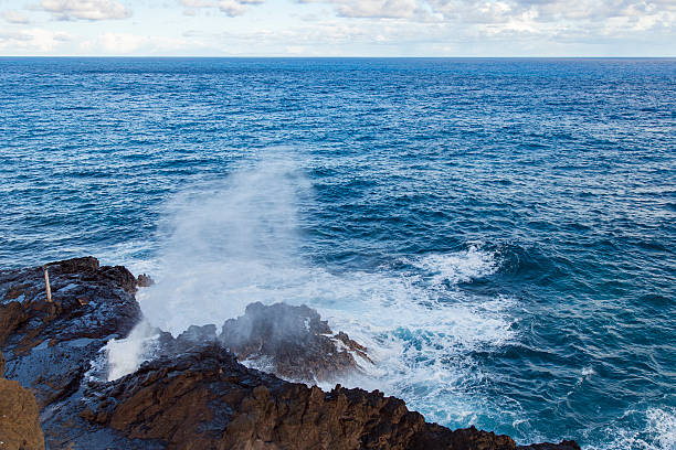 istock Natural scenery of Hawaii 594914310