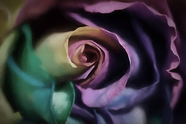 istock Macro of Rainbow Rose, romantic wedding, digital art 594915172