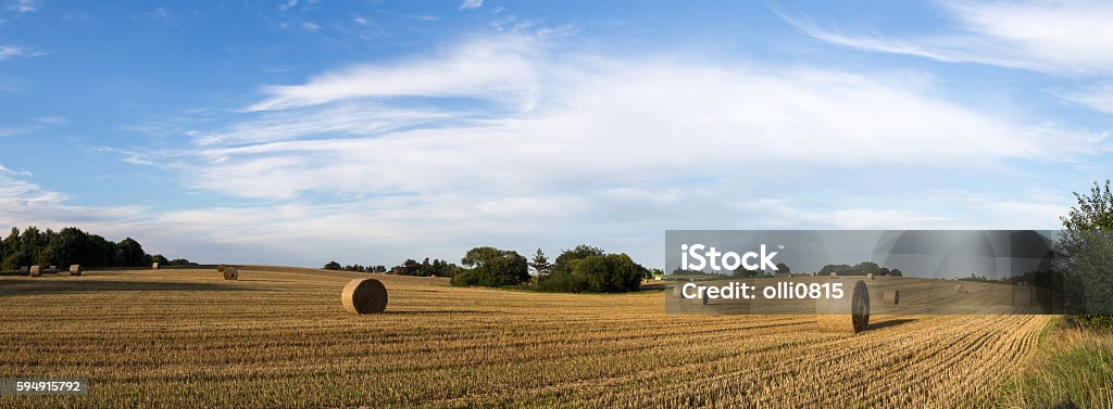 Hay bales on a field Panoramic view of hay bales on a field on the countryside in Denmark Denmark Stock Photo