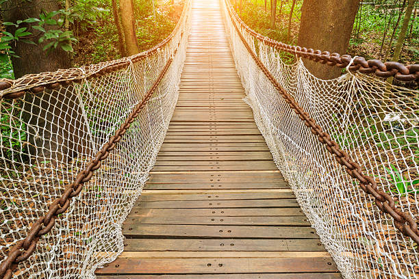 istock suspension bridge in the green forest 594917206