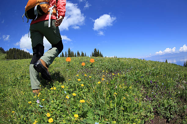 young woman backpacker hiking on beautiful mountain peak
