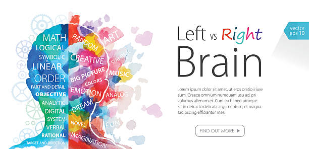 Watercolor Banner Left Vs Right Brain Abstract watercolor vector template depicting left and right brain functions . Nicely layered.  concepts topics stock illustrations