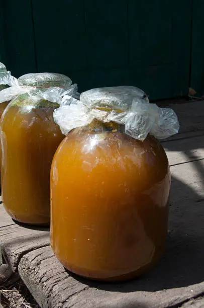 Photo of russian traditional honey low alcohol drink, fermentation