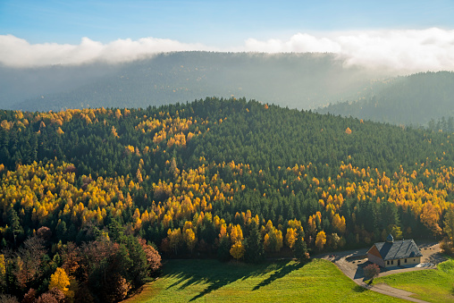 View to the atumnal painted forest of the Vosges, Alsace, France