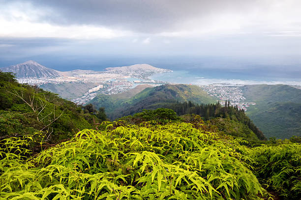 istock Kuliouou Ridge trail in Hawaii 594927204