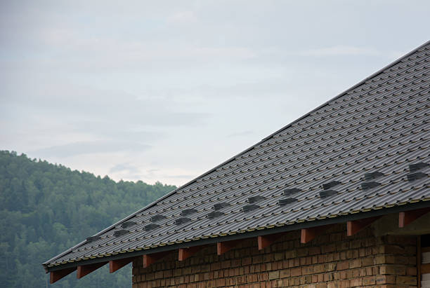 istock Roof with rounded snow guard 594928208