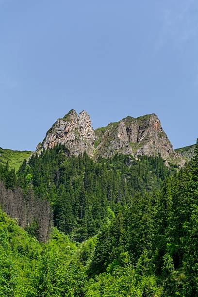 istock Black Goat summit in Carpathian Mountains 594931410