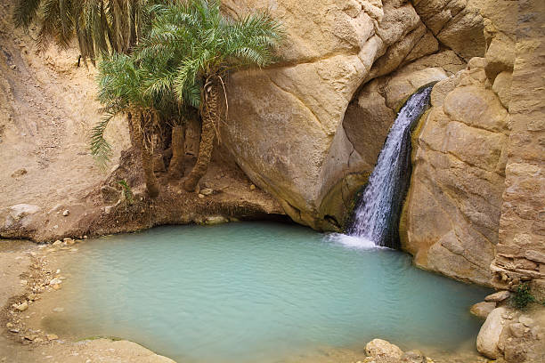 водопад в горный оазис chebika, тунис, африка - cave canyon rock eroded стоковые фото и изображения