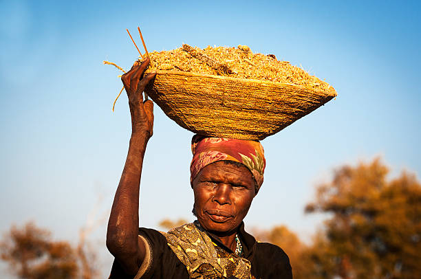 African woman balancing a basket in her head Caprivi Strip, Namibia - August 20, 2011: African woman balancing a basket with cereals in her head in the Caprivi Strip, Namibia, Africa african tribal culture photos stock pictures, royalty-free photos & images