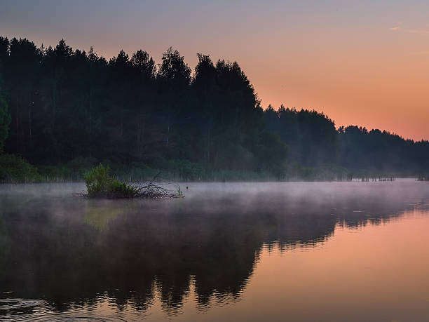 istock Morning on the forest lake. 594934496