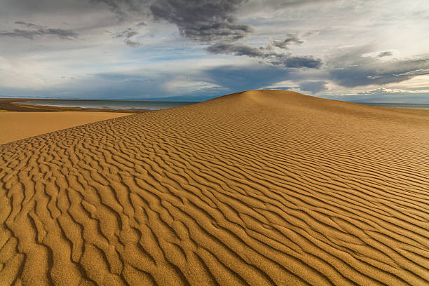 красивый вид на пустынный пейзаж. гоби. монголия. - desert landscape morocco sand dune стоковые фото и изображения