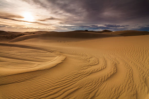 красивый вид на пустынный пейзаж. гоби. монголия. - desert landscape morocco sand dune стоковые фото и изображения