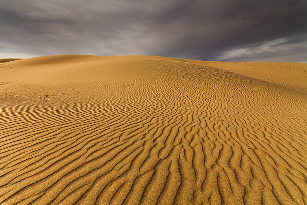 красивый вид на пустынный пейзаж. гоби. монголия. - desert landscape morocco sand dune стоковые фото и изображения