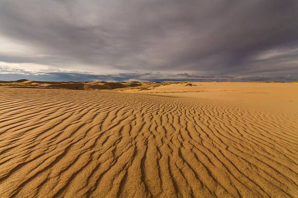 красивый вид на пустынный пейзаж. гоби. монголия. - desert landscape morocco sand dune стоковые фото и изображения