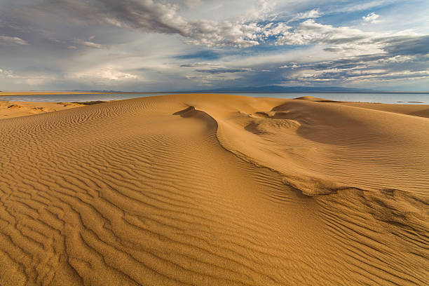 красивый вид на пустынный пейзаж. гоби. монголия. - desert landscape morocco sand dune стоковые фото и изображения