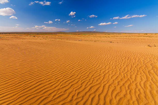 красивый вид на пустыню сахара. - desert landscape morocco sand dune стоковые фото и изображения