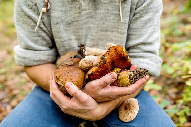 istock Unrecognizable man in forest holding mushoom in his arms 594941028