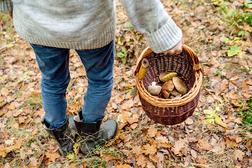 Unrecognizable man holding wicker basket with mushrooms in autumn forest