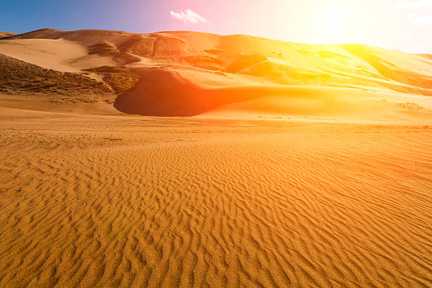 высокие песчаные дюны в лучах вечернего солнца - desert landscape morocco sand dune стоковые фото и изображения