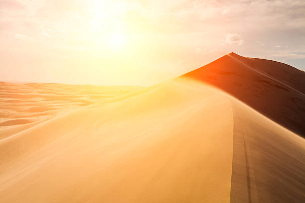 высокие песчаные дюны в лучах вечернего солнца - desert landscape morocco sand dune стоковые фото и изображения