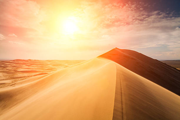 высокие песчаные дюны в лучах вечернего солнца - desert landscape morocco sand dune стоковые фото и изображения