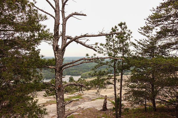 istock On the Top of Sone Mountain Georgia 594942176