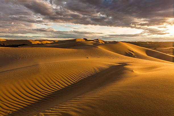 золотые пески и дюны пустыни. монголия. - desert landscape morocco sand dune стоковые фото и изображения