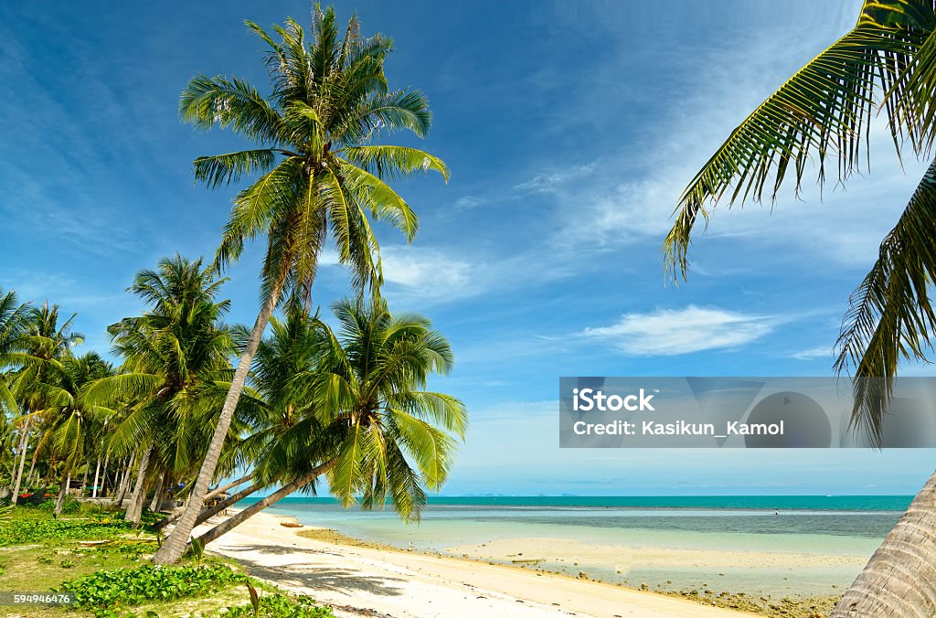 the beach and blue sky at Koh Smaui,Thailand the beach and blue sky at Koh Smaui,Thailand. Beach Stock Photo