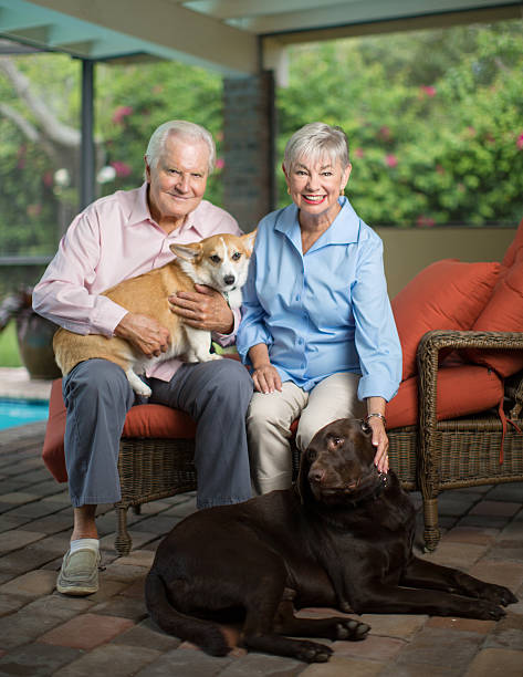 istock Senior couple with dogs 594947692