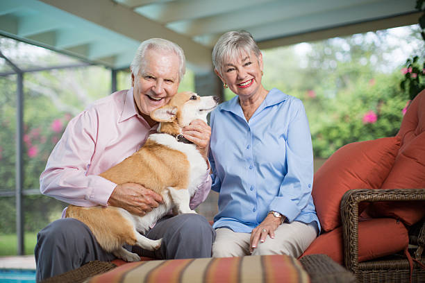 istock Our happy little family 594948330