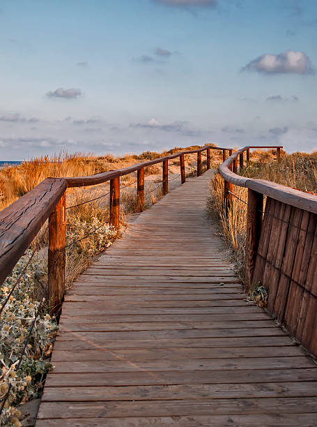 istock Wooden path at summer coast landscape 594948760