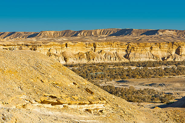 istock Desert in Israel 594952362