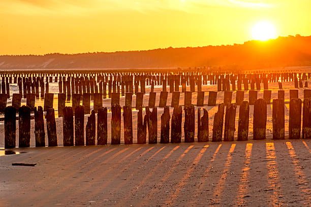 istock Sunrise over the Baltic Sea with groynes 594952816