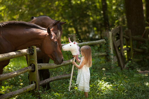 Little girl showing two horses her stick horse unicorn 