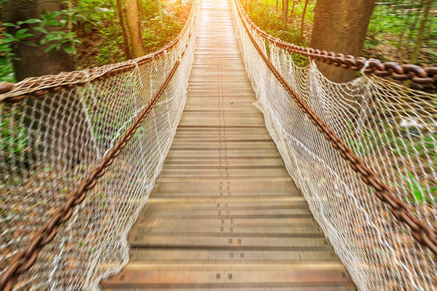 istock Motion blur suspension bridge in the forest 594953476
