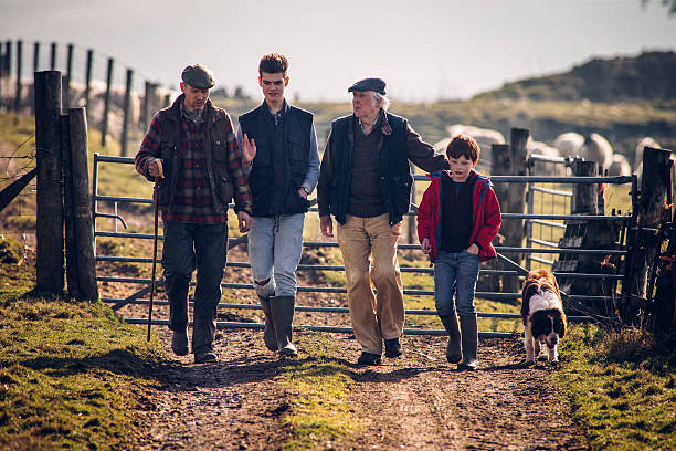 Farming runs in the Family Family of farmers walking along a track with a dog following closely. Gate closed behind them with sheep out of focus in the background. Senior male with mid adult farmer and his sons. sheep photos stock pictures, royalty-free photos & images