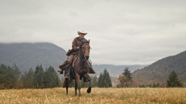 SLO MO Cowboy riding a galloping horse across mountain meadow