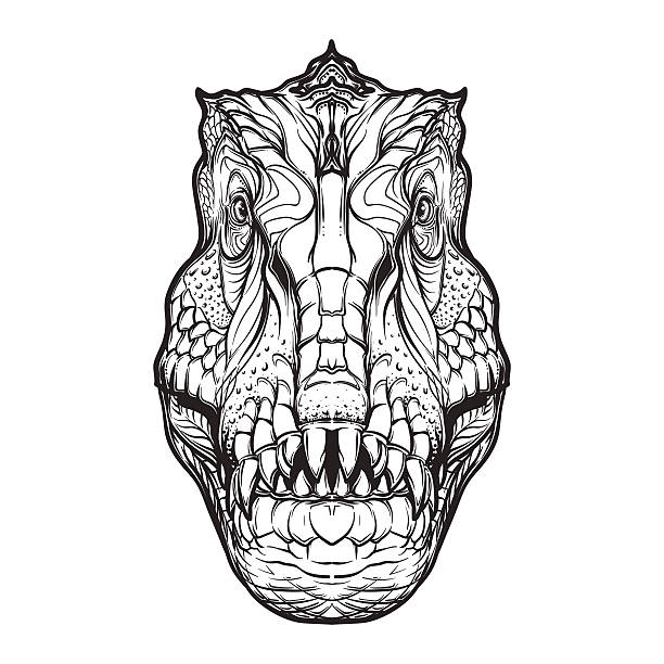 Tyrannosaurus head on white background Detailed sketch style drawing of the tirannosaurus rex head isolated on white background. Paleonthology illustration. Tattoo design. Coloring book illustration. EPS10 vector illustration. dinosaur drawing stock illustrations