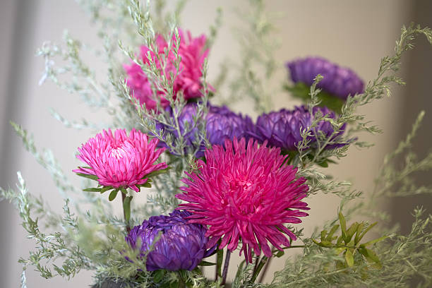 istock Still life with dahlies 595099280