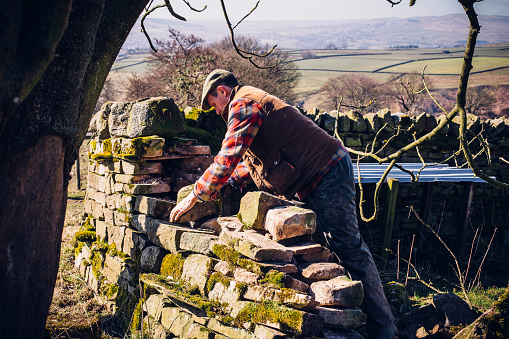 A British farmer is manually repairing an old dry stone wall that has fell on his land.