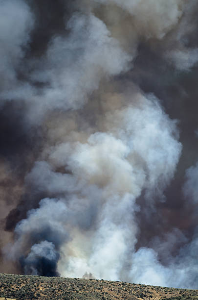 istock Dense White Smoke Rising from the Raging Wildfire 595111890