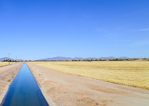 ソノラ��砂漠の灌漑 - torrid ストックフォトと画像